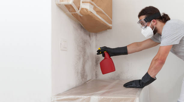 Professional Hvac And Air Duct Mold Remediation technician working in Old Bethpage, NY
